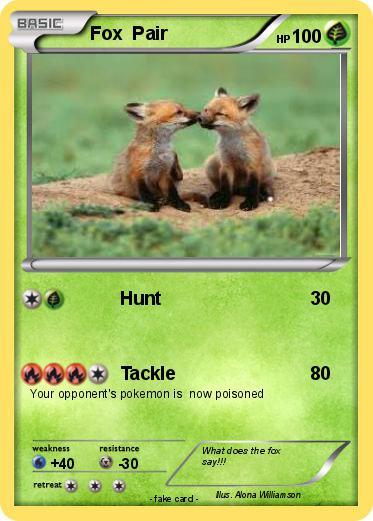Pokemon Fox  Pair