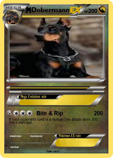 Pokemon Dobermann