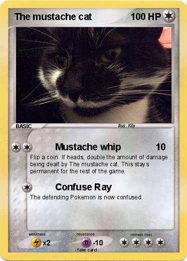 Pokemon The mustache cat