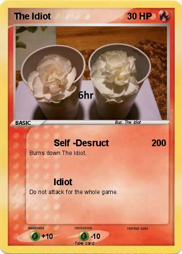 Pokemon The Idiot