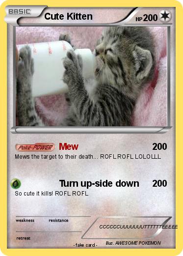 Pokemon Cute Kitten