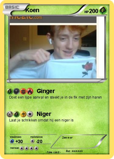 Pokemon Koen