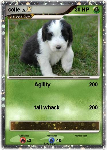 Pokemon colle