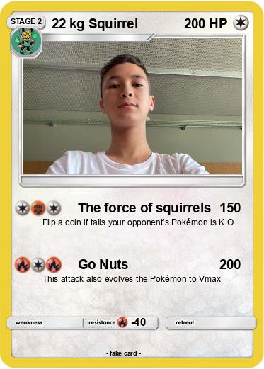 Pokemon 22 kg Squirrel