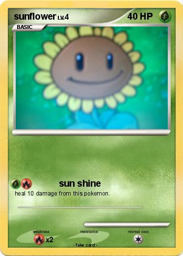 Pokemon sunflower
