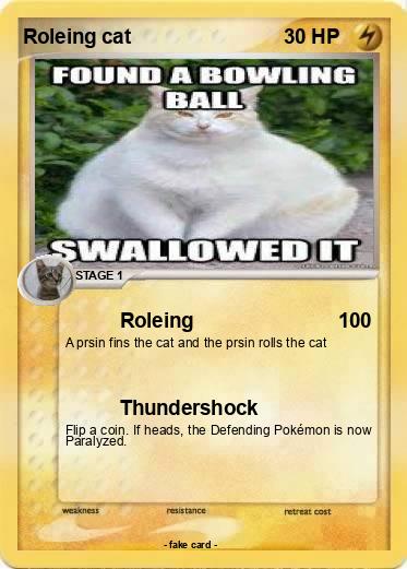 Pokemon Roleing cat