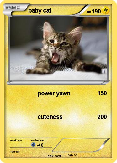 Pokemon baby cat