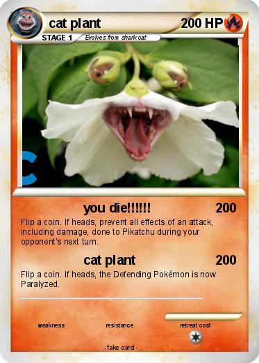 Pokemon cat plant