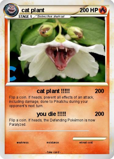 Pokemon cat plant