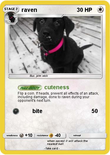 Pokemon raven