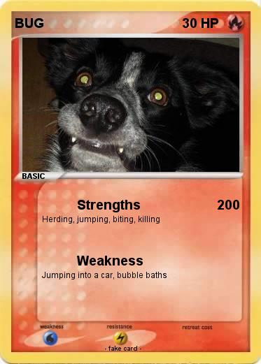 Pokemon BUG