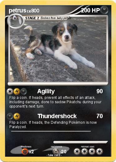Pokemon petrus