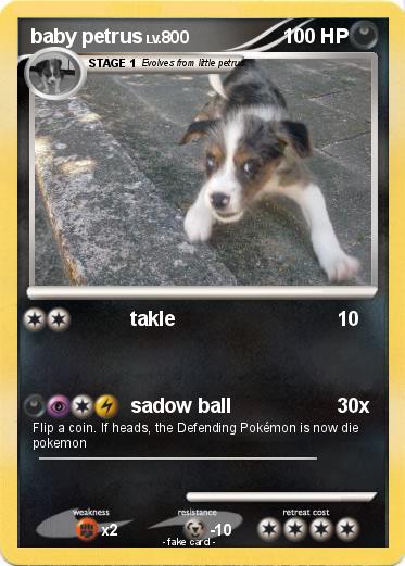 Pokemon baby petrus