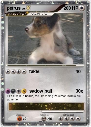 Pokemon petrus
