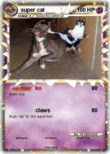 Pokemon super cat