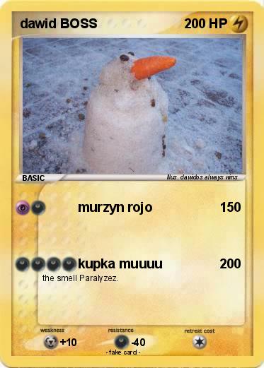 Pokemon dawid BOSS