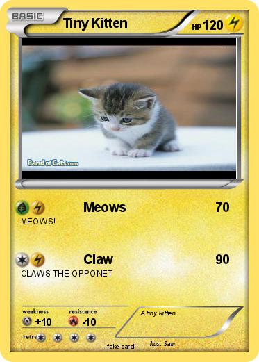 Pokemon Tiny Kitten