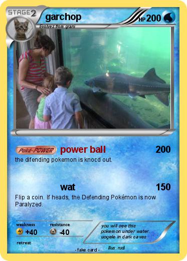 Pokemon garchop