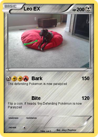 Pokemon Leo EX