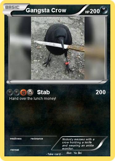 Pokemon Gangsta Crow