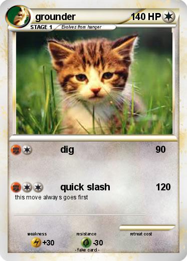 Pokemon grounder