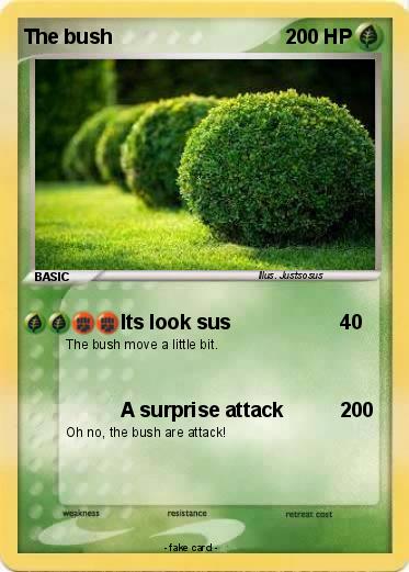 Pokemon The bush