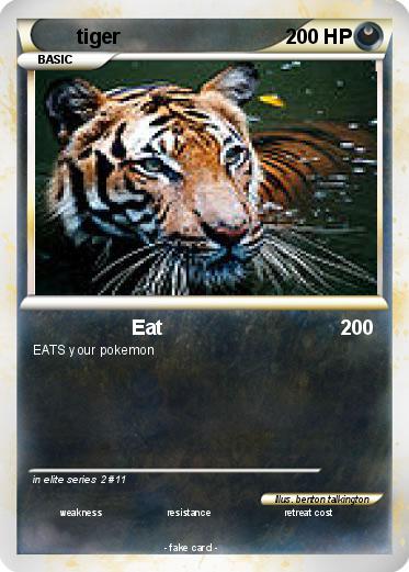 Pokemon tiger