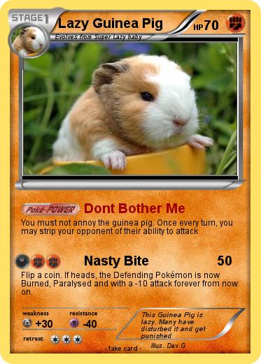 Pokemon Lazy Guinea Pig