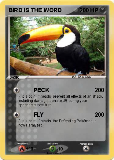 Pokemon BIRD IS THE WORD