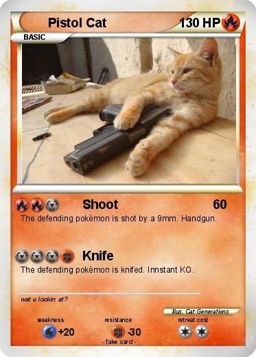 Pokemon Pistol Cat