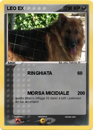 Pokemon LEO EX