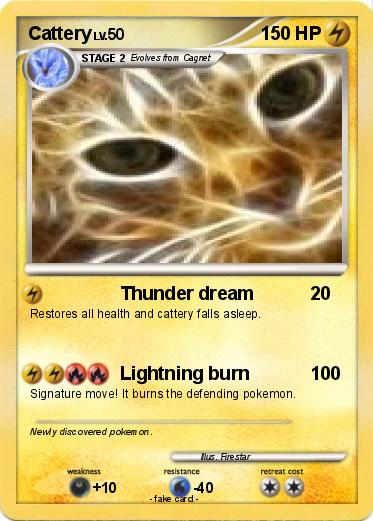 Pokemon Cattery