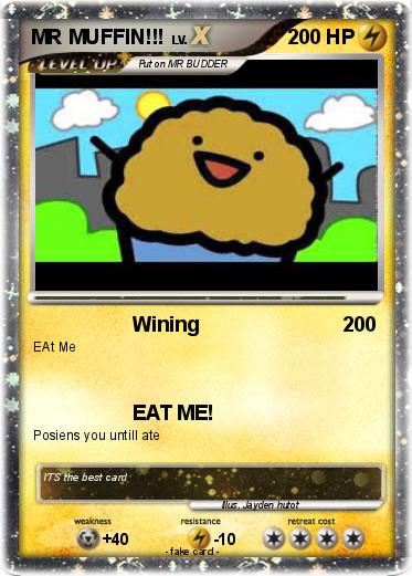 Pokemon MR MUFFIN!!!