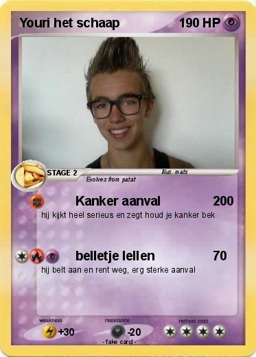 Pokemon Youri het schaap