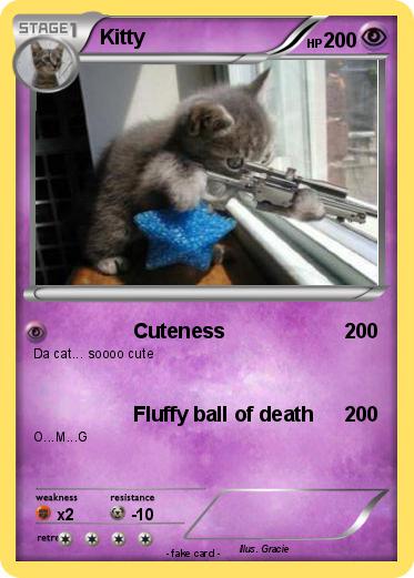 Pokemon Kitty