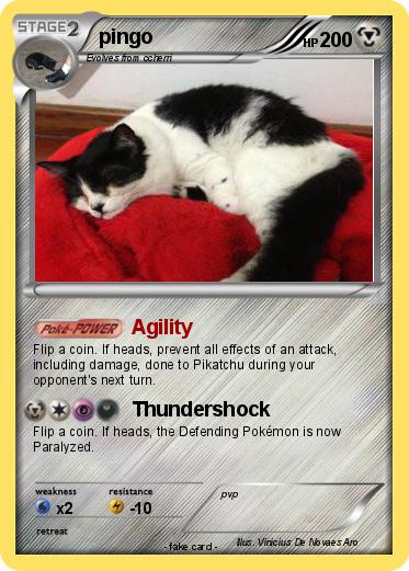 Pokemon pingo