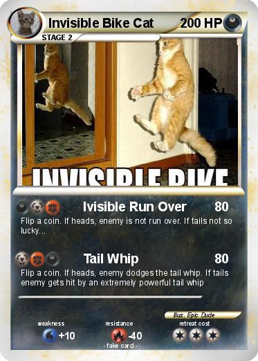 Pokemon Invisible Bike Cat