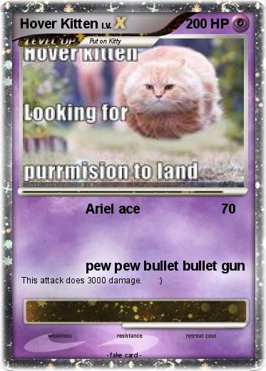 Pokemon Hover Kitten