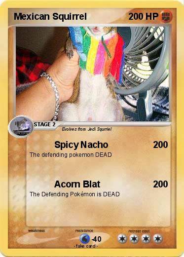 Pokemon Mexican Squirrel