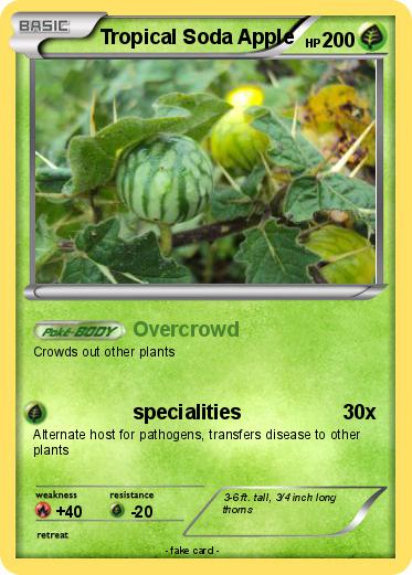 Pokemon Tropical Soda Apple