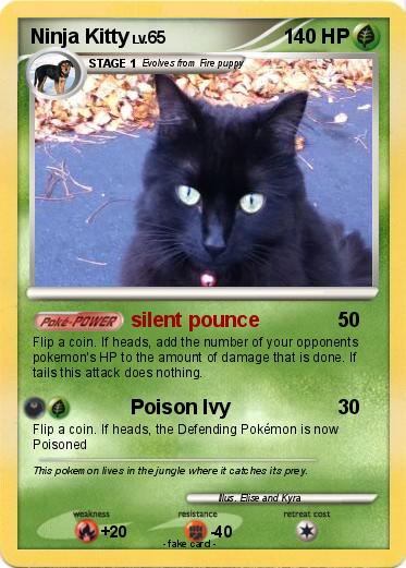 Pokemon Ninja Kitty