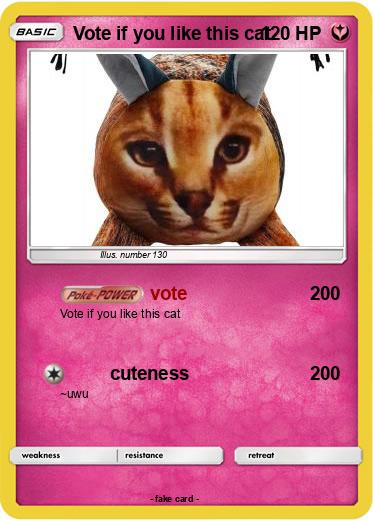 Pokemon Vote if you like this cat