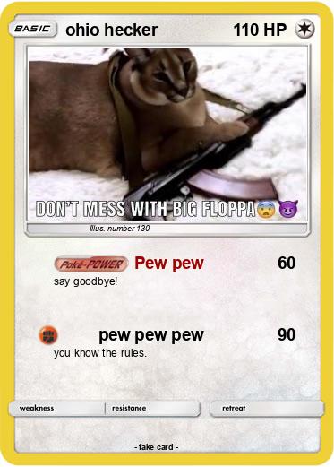 Pokemon ohio hecker