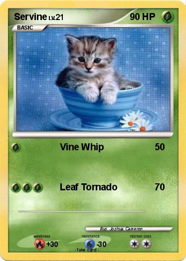 Pokemon Servine