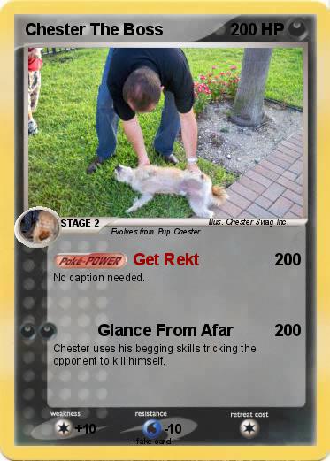Pokemon Chester The Boss