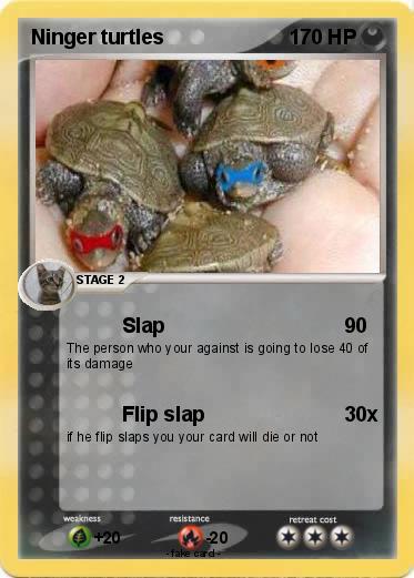 Pokemon Ninger turtles