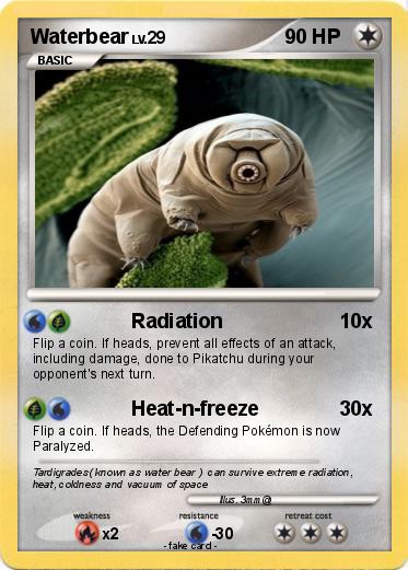 Pokemon Waterbear