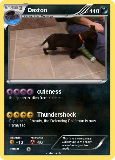 Pokemon Daxton