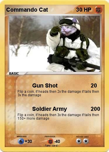 Pokemon Commando Cat