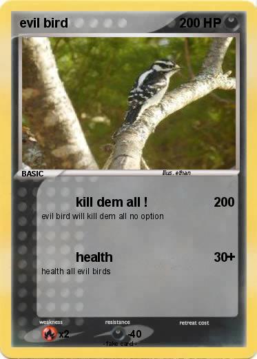 Pokemon evil bird